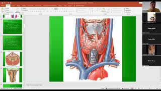 Venas Yugular Interna Externa Anterior [upl. by Hewe350]