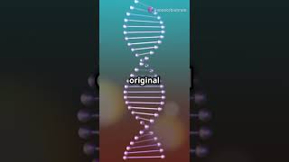 The Crucial Role of DNA Polymerase in DNA Replication [upl. by Akiram101]