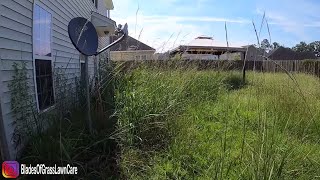 Satisfying Tall Grass Mowing  Overgrown Lawn Makeover  Stripes [upl. by Brosine536]