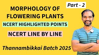 Morphology of Flowering Plants in Tamil  Part 2  TB 2025 [upl. by Faye]