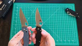 Head to Head  Spyderco Para 2 vs Ganzo G729 [upl. by Neved966]