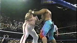 Tugboat vs Haku WWF PTW 1990mpg [upl. by Gnanmas]