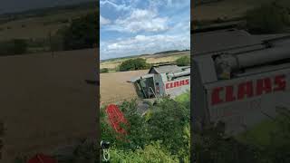 Claas lexion 440 spring barley 2024 harvest24 claas [upl. by Brittnee]