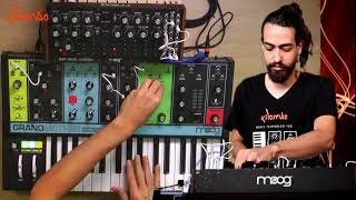 Moog Grandmother and Moog DFAM live session at Kilombo [upl. by Soilissav843]