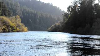 Russian River at Villa Grande Steelhead Season Begins [upl. by Susanetta837]