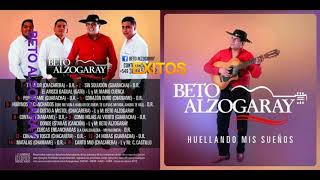 BETO ALSOGARAY ENG  PICHUCO DJ [upl. by Ajnat]