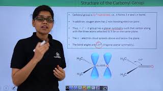 Class 12th – Structure of Carbonyl Group  Aldehydes Ketones and Carboxylic Acids  Tutorials Point [upl. by Brandwein]