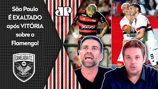 quotO São Paulo CRESCE em JOGO GRANDE MASSACROU o Flamengo e É IMPRESSIONANTE comoquot SPFC É EXALTADO [upl. by Rosner352]