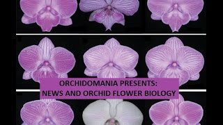 Orchidomania Presents News and Orchid Flower Biology [upl. by Alekim]