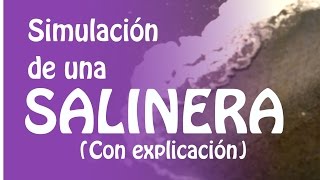 ¿Cómo funcionan las Salineras Solares Simulación [upl. by Catherine]