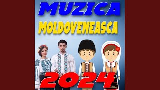 Muzică de nuntă moldovenească [upl. by Arocet]