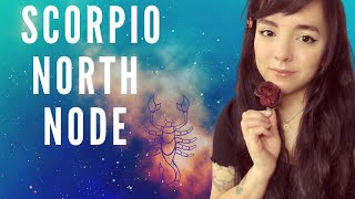 Taurus South Node 🐮🌱  Scorpio North Node 🐛 🦋  ASTROLOGY 🌈 [upl. by Erait512]