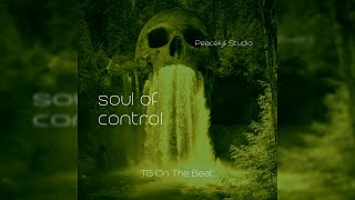 Soul Of Control  TG On The Beat [upl. by Aikaz13]