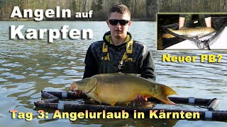 Angeln auf Karpfen  Karpfenangeln mit verschiedenen Ködern am See  neuer Karpfen PB [upl. by Deadman6]