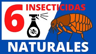 ⭐ 6 Insecticidas naturales para pulgas REPELENTES ANTIPULGAS  REMEDIOS CASEROS [upl. by Fairbanks]