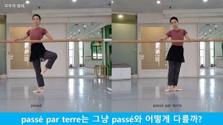 발레용어사전372 passé par terre 빠쎄 빠떼르파쎄 파테르동작 알아보기 [upl. by Suiraj39]