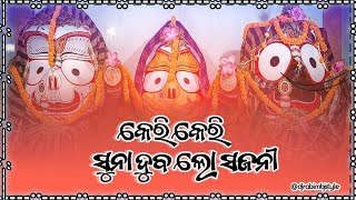 Keri Keri Suna Duba Odia Jagannatha Bhajana Humming Bass Mix 2024  Dj Rabi Junapada Mbj Style [upl. by Astrea]