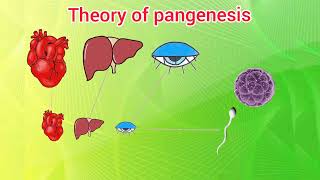 Theory of pangenesis [upl. by Netsrejk]