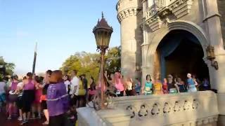 Princess Half Marathon Timelapse  runDisney  Walt Disney World [upl. by Deirdre]