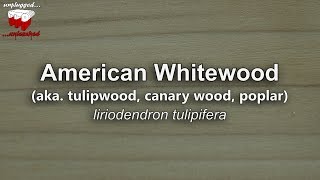 Tulipwood liriodendron tulipifera  Mitchs World of Woods [upl. by Kaleb]