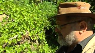 22 Sepp Holzer Permaculture Eng Subs [upl. by Wasson]