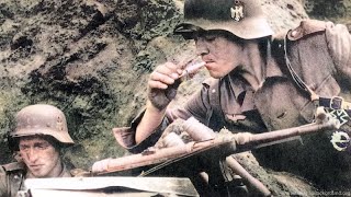 WW2 Waffen SS Intense Combat Footage [upl. by Eelirem]