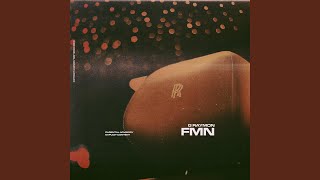 FMN [upl. by Eidoow]