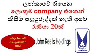 Latest Job Vacancies at John Keells Holdings 2024  How to Apply for HighPaying Jobs in Sri Lanka [upl. by Claudianus]