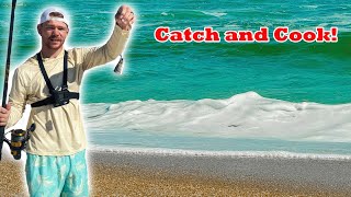 Surf Fishing Catch and Cook [upl. by Ihsir]