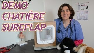 Démonstration de la chatière électronique SureFlap [upl. by Mathilde]