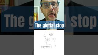 What is the Glottal stop How do you pronounce it english learnenglish gottalstop language [upl. by Mcclish246]