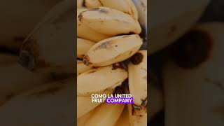 El banano es uno de los principales productos agrícolas de Guatemala guatemala [upl. by Freyah]