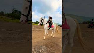 Cute Baby and Horse 🐎  horse horses ghoda cutebaby ytshorts viral trending [upl. by Atsirak]