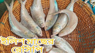 তেল ঝাল কাচা ইলিশ রেসিপি। ilish recipeilishfishayeshakitchen890 [upl. by Nayve608]