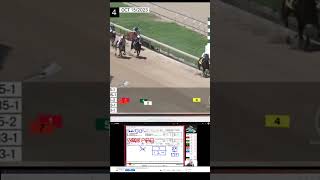 horseracingpicks handicapping horse racing bighits [upl. by Shadow]