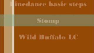 Linedance basic steps Stomp WB hun [upl. by Oakes]