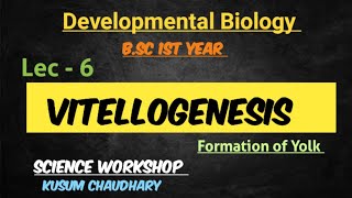 Vitellogenesis  Formation of Yolk  Developmental Biology 6  By Kusum Chaudhary [upl. by Mohun561]