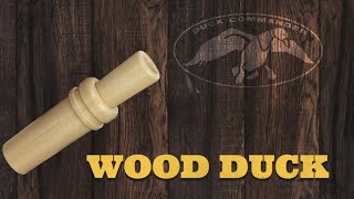 quotCALL TALKquot  Everything you need to know about our WOOD DUCK CALL [upl. by Eindys]