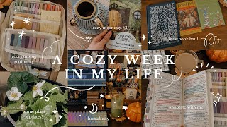 a cozy week in my life✨🍵 book haul annotations stationery amp plants october vlog🍁 [upl. by Samid680]