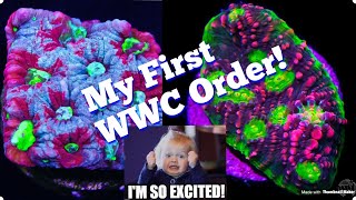 MY FIRST WORLD WIDE CORAL ORDER [upl. by Erasmus]