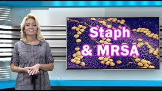 Staph Infections amp MRSA [upl. by Goth]