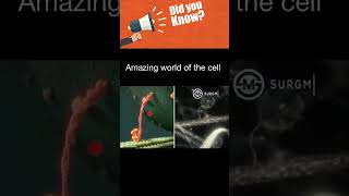 Amazing world of the cell [upl. by Boys]