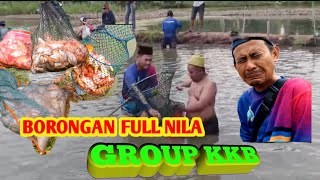 BORONGAN FULL NILA ‼️ BARENG GROUP KKB [upl. by Llertrac]