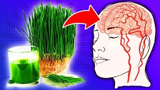 Discover the Top 8 Health Benefits of Wheatgrass [upl. by Ydoow]