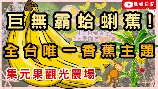 🍌巨無霸蛤蜊蕉🍌全台唯一香蕉主題觀光農場  jijibanana 集元果觀光工廠  香蕉生態園區  南投 集集 親子景點  沙坑 溜滑梯 室內球池  DIY 香蕉料理 特色餐廳 拍照打卡 [upl. by Sudoeht]