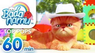 Meet the Nemie N l Nursery Rhymes amp Kids Songs [upl. by Lasonde]