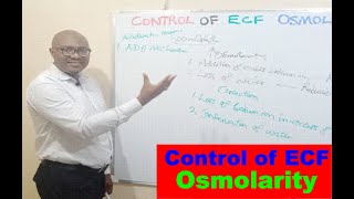 Control of ECF Osmolarity – Lecture 8 [upl. by Nemrac]