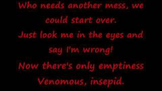 Slipknot Psychosocial lyrics [upl. by Thomson583]