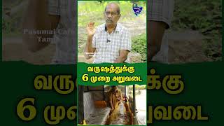 இது மாதிரி தரம் பிரிச்சு விற்கணும்  முருகேசன்  organic coconut coconutoil coconutwater farm [upl. by Eadmund]