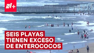 Alerta por estas playas contaminadas en México  N [upl. by Ule363]